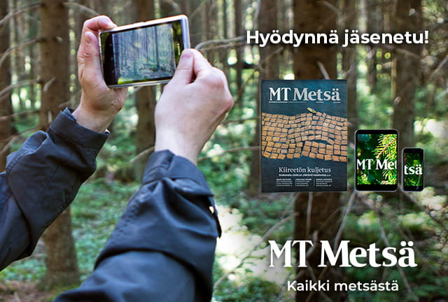 MT Metsä -40%