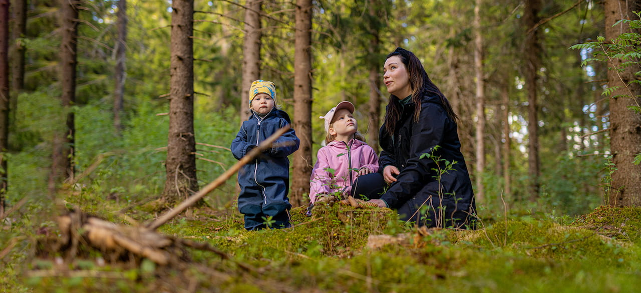 Onko väliä, kuka omistaa suomalaismetsät?