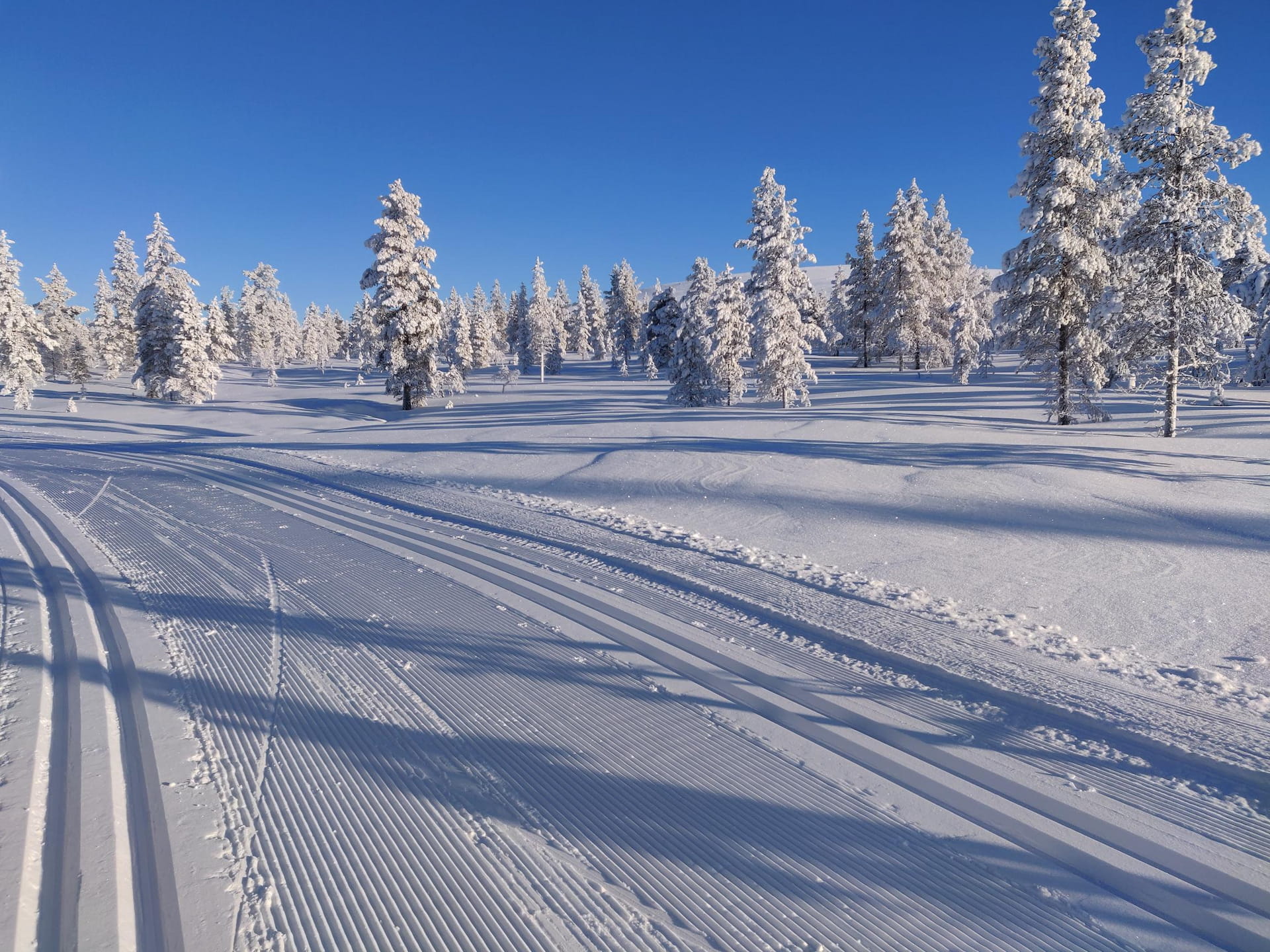 Yksityistiepäivät-kiertue tieasioista kiinnostuneille