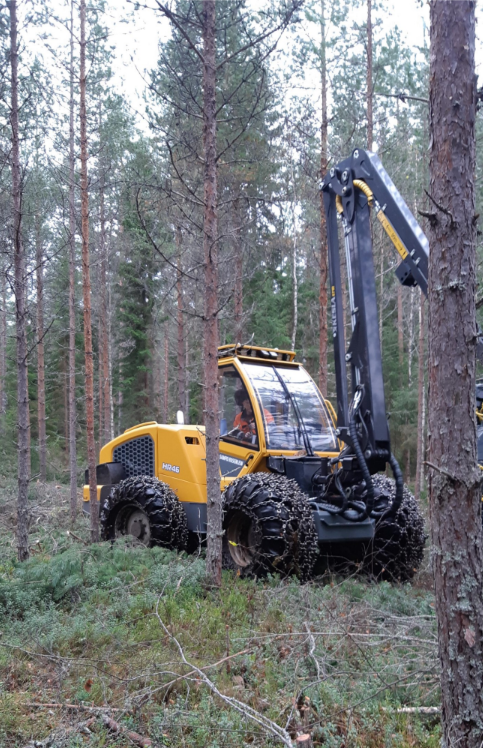 Nuori metsä kasvukuntoon! Korjuunäytös ja metsätapahtuma