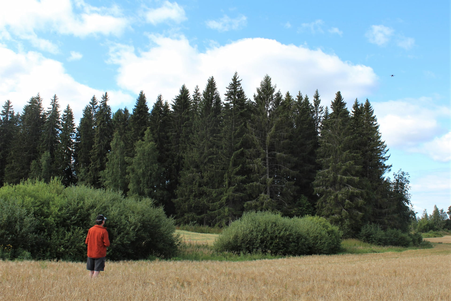 Kokeilut metsätiedon käytön tehostamiseksi