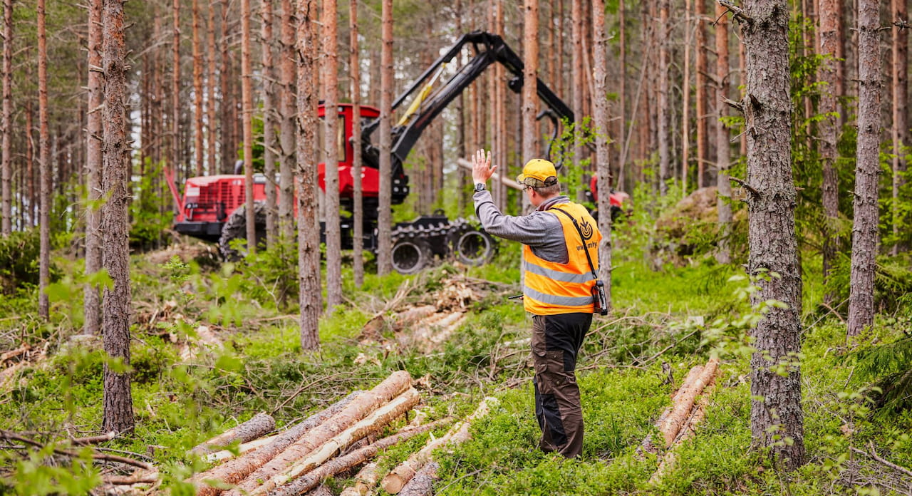 Etelä-Suomen puumarkkinakatsaus: Metsänomistajat tyytyväisiä puukauppaan – alkukesä on kiireistä aikaa myös Etelä-Suomen metsissä 