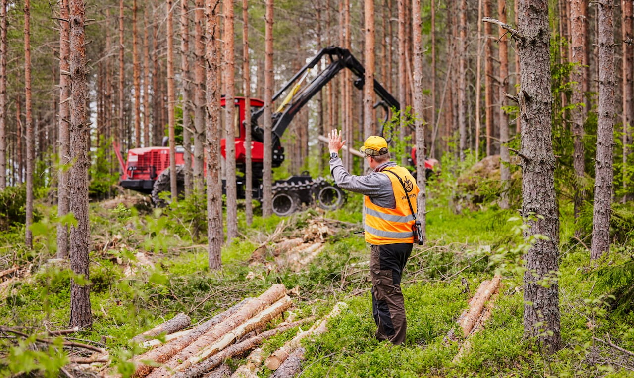 Puumarkkinakatsaus: Aktiivinen puukauppavuosi on näkynyt myös Pirkanmaalla