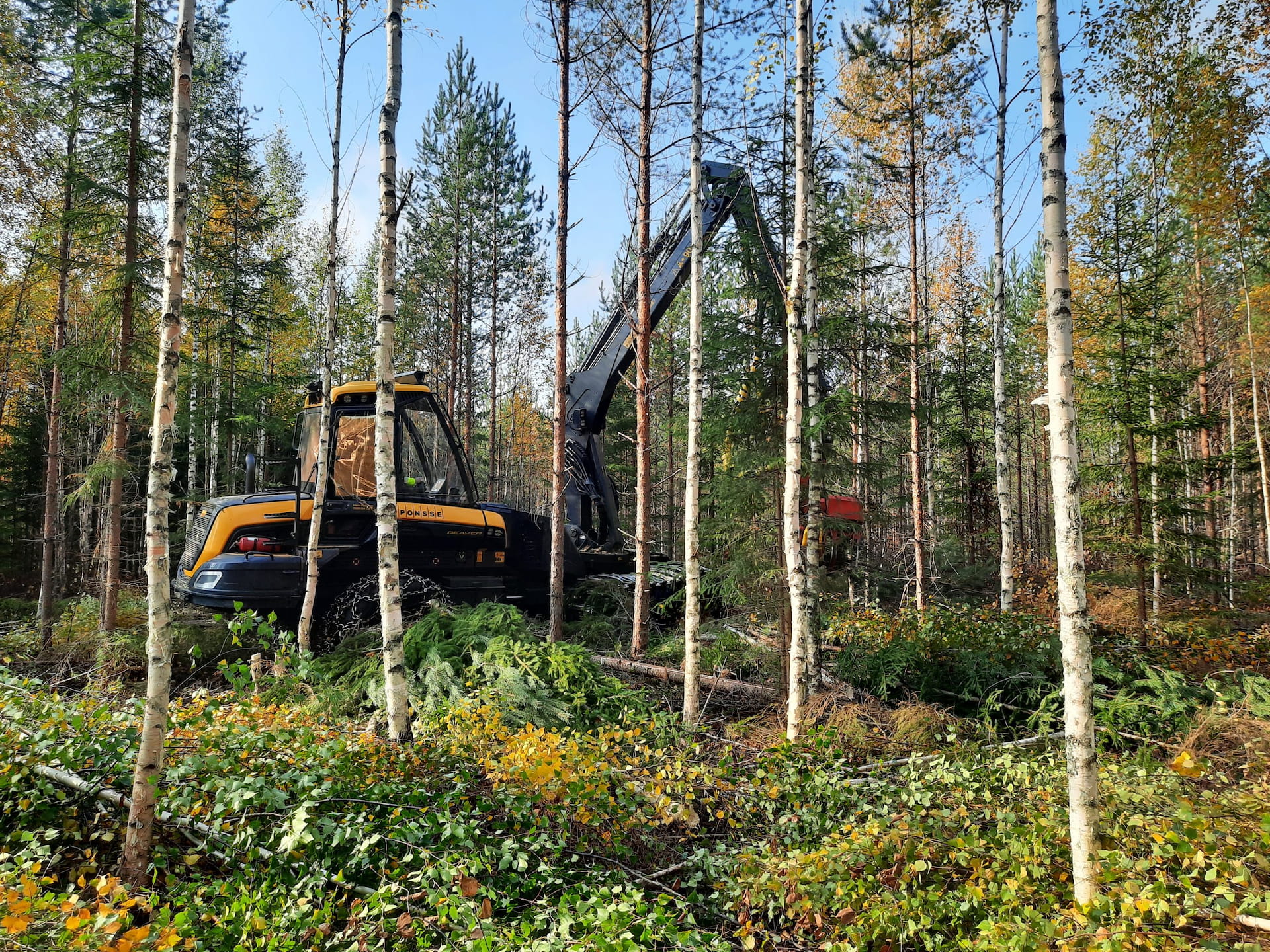 Korjuunäytös Mikkelin Kuvaalassa