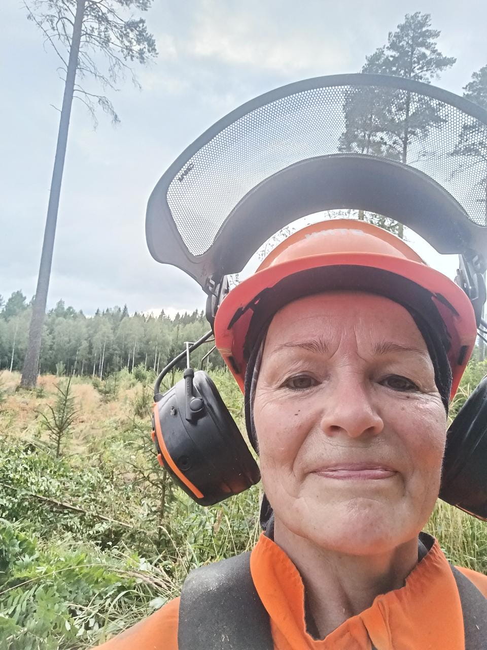 Taina Pietarinen