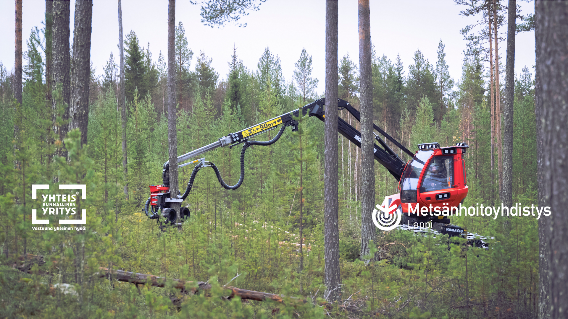 Metsänhoitoyhdistys tuntee metsäsi