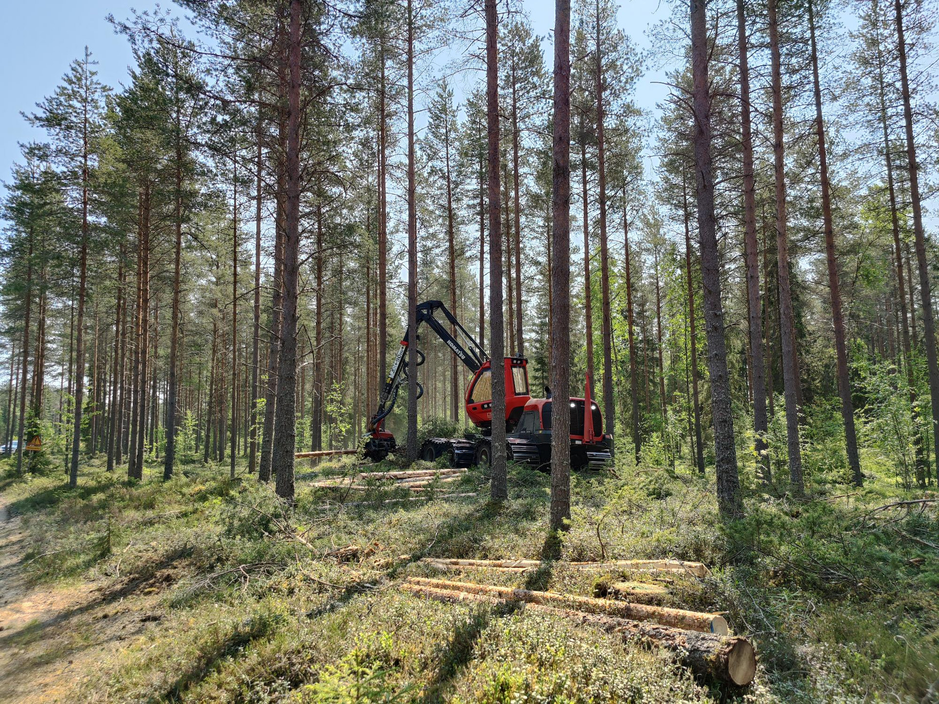 Oma metsäasiantuntija tuntee metsäsi